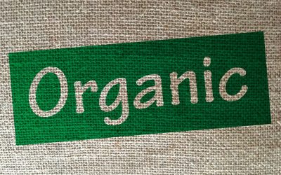 Les Bioplastiques : Révolution Verte ou Nouvelle Menace pour l&rsquo;Écologie ?