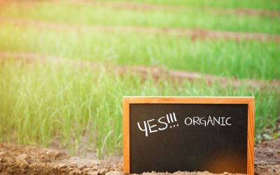 Biopersuasion : Quand la biologie influence vos décisions sans que vous le sachiez