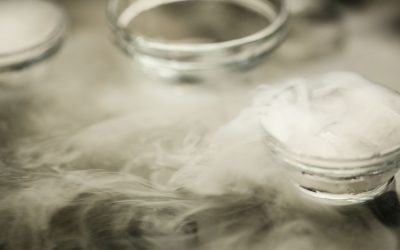 Les Mésaventures Culinaires des Grands Chefs : Quand le Raté Devient Chef-d’Œuvre