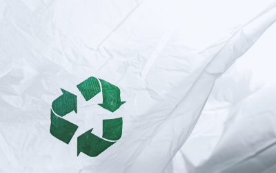 Gastronomie durable en 2024 : bio record et cuisine responsable