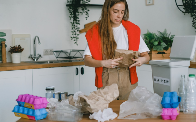 Gastronomie durable redéfinit cuisine bio avec circuits courts et upcycling