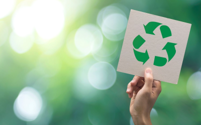 Gastronomie durable réinventez votre cuisine éthique et responsable
