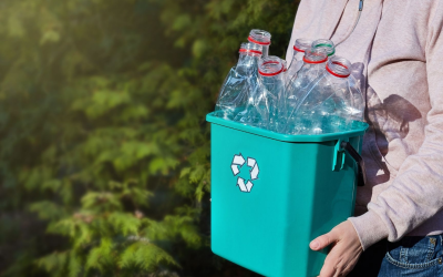 Gastronomie durable innover pour repenser nos assiettes responsables et créatives