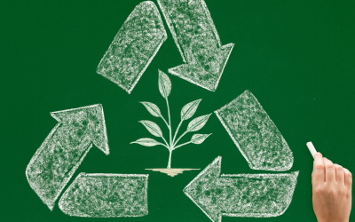La révolution verte de la gastronomie durable dans nos assiettes