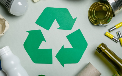 Gastronomie durable allie créativité, éthique et responsabilité dans nos assiettes